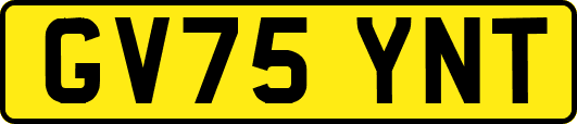 GV75YNT