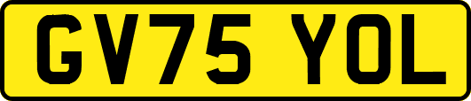 GV75YOL