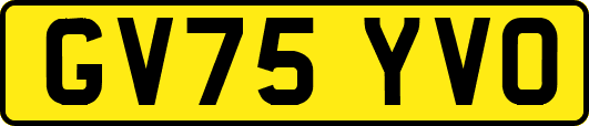 GV75YVO