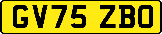 GV75ZBO