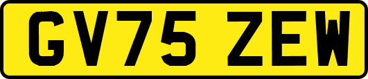 GV75ZEW