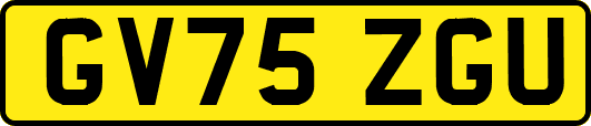 GV75ZGU