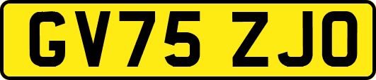 GV75ZJO
