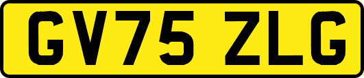 GV75ZLG