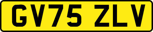 GV75ZLV