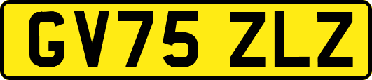 GV75ZLZ