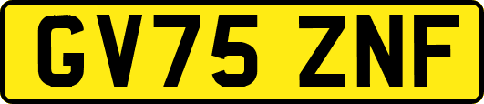 GV75ZNF