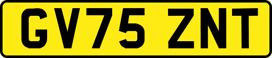 GV75ZNT