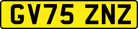 GV75ZNZ