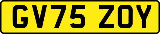 GV75ZOY