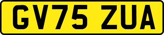 GV75ZUA