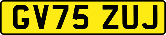 GV75ZUJ