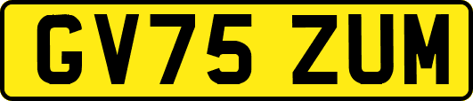 GV75ZUM