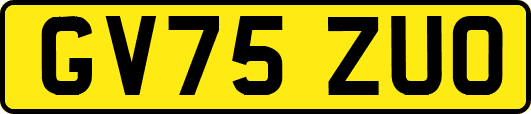 GV75ZUO