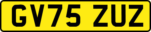 GV75ZUZ