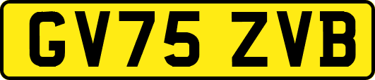 GV75ZVB