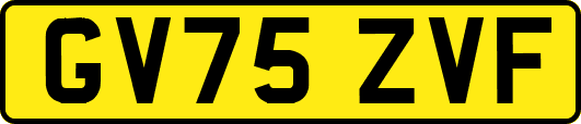 GV75ZVF