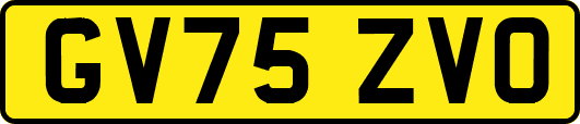 GV75ZVO