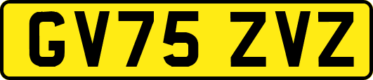 GV75ZVZ