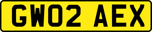 GW02AEX
