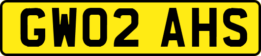 GW02AHS