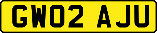 GW02AJU