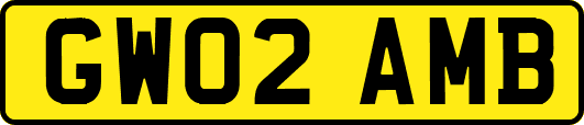 GW02AMB