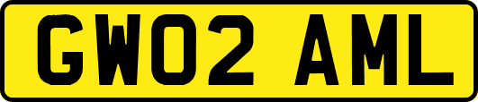 GW02AML