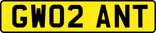 GW02ANT