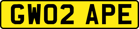 GW02APE