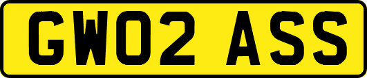GW02ASS