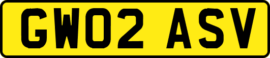 GW02ASV