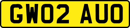 GW02AUO