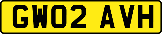GW02AVH