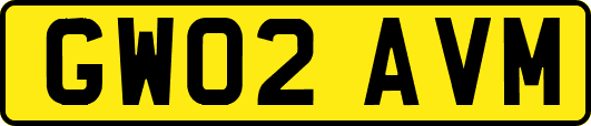 GW02AVM