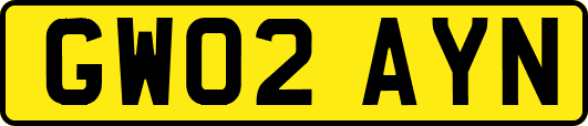 GW02AYN