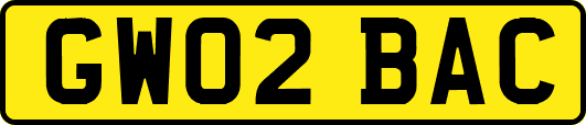 GW02BAC