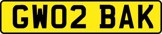 GW02BAK
