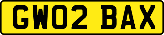 GW02BAX