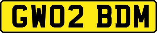 GW02BDM