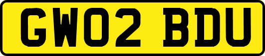 GW02BDU