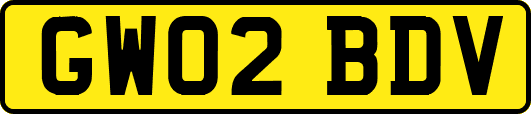 GW02BDV