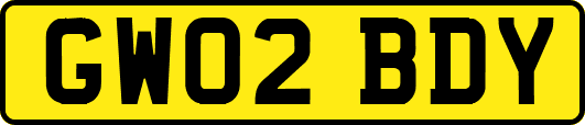 GW02BDY