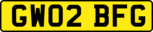 GW02BFG