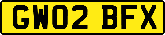 GW02BFX