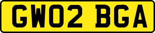 GW02BGA