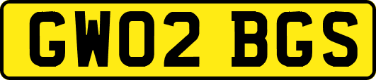 GW02BGS