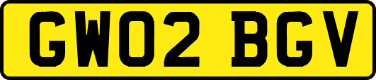 GW02BGV