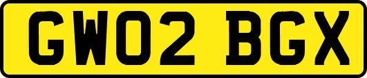 GW02BGX