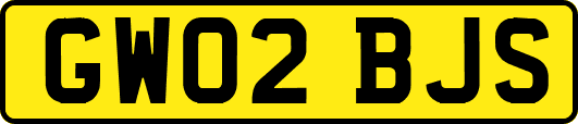 GW02BJS
